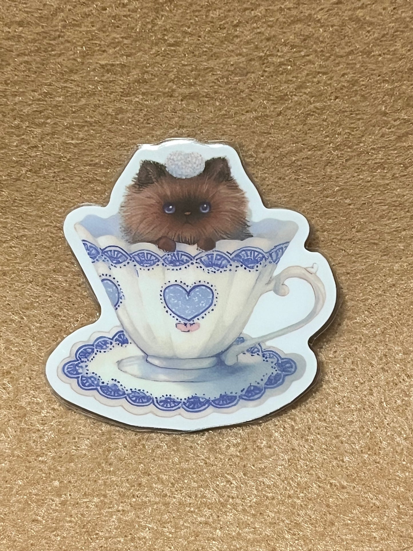 Teacup kitty