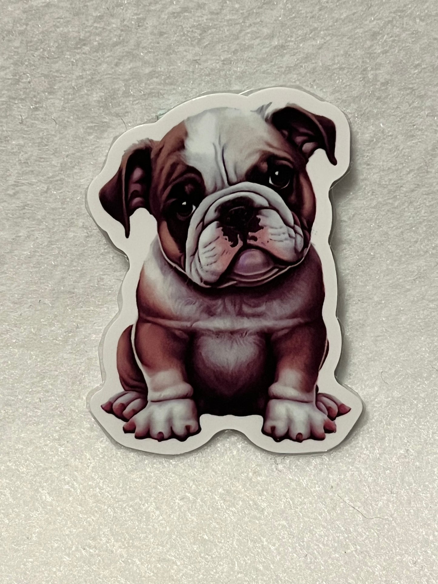 Bulldog