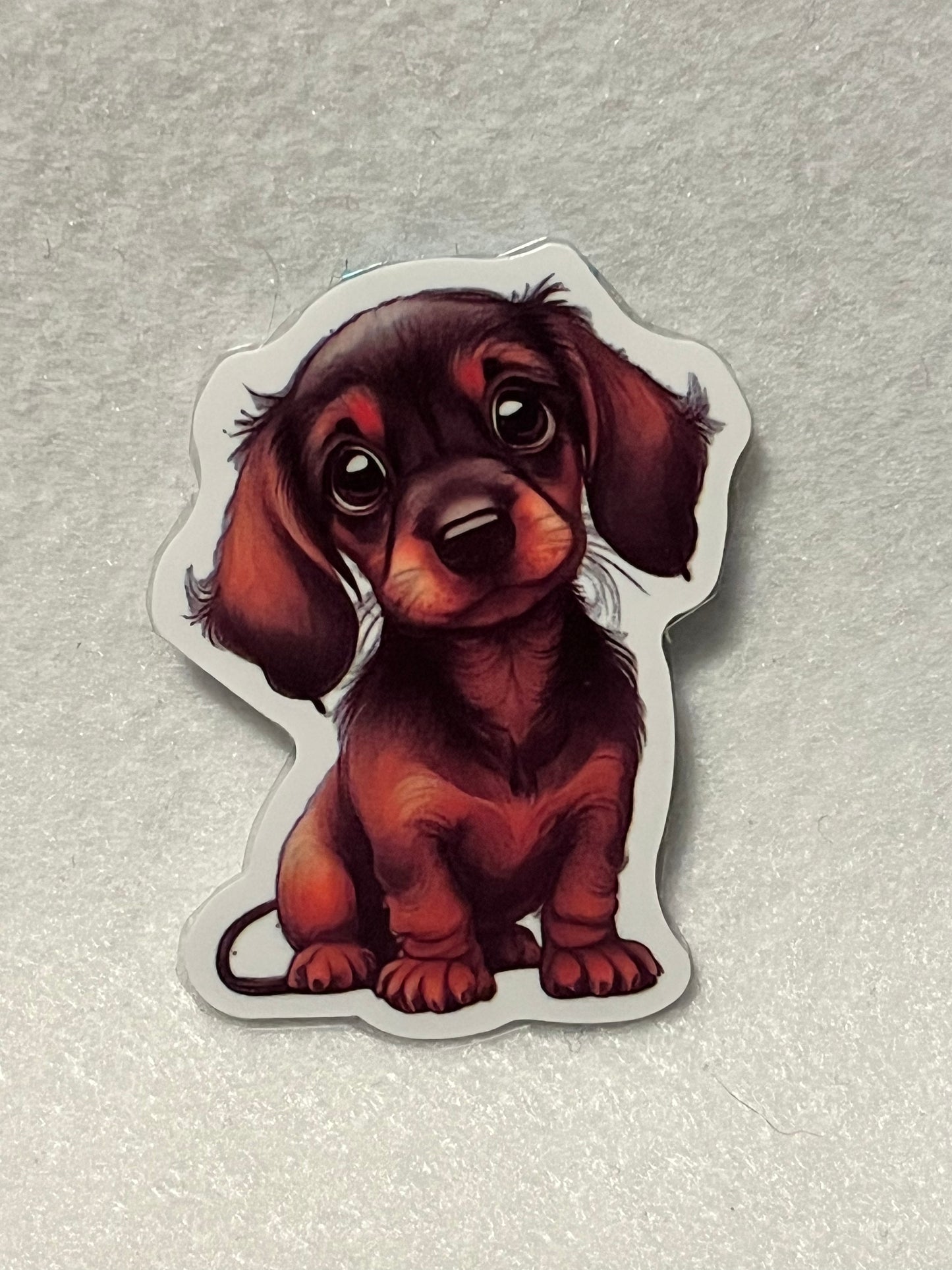 Daschund