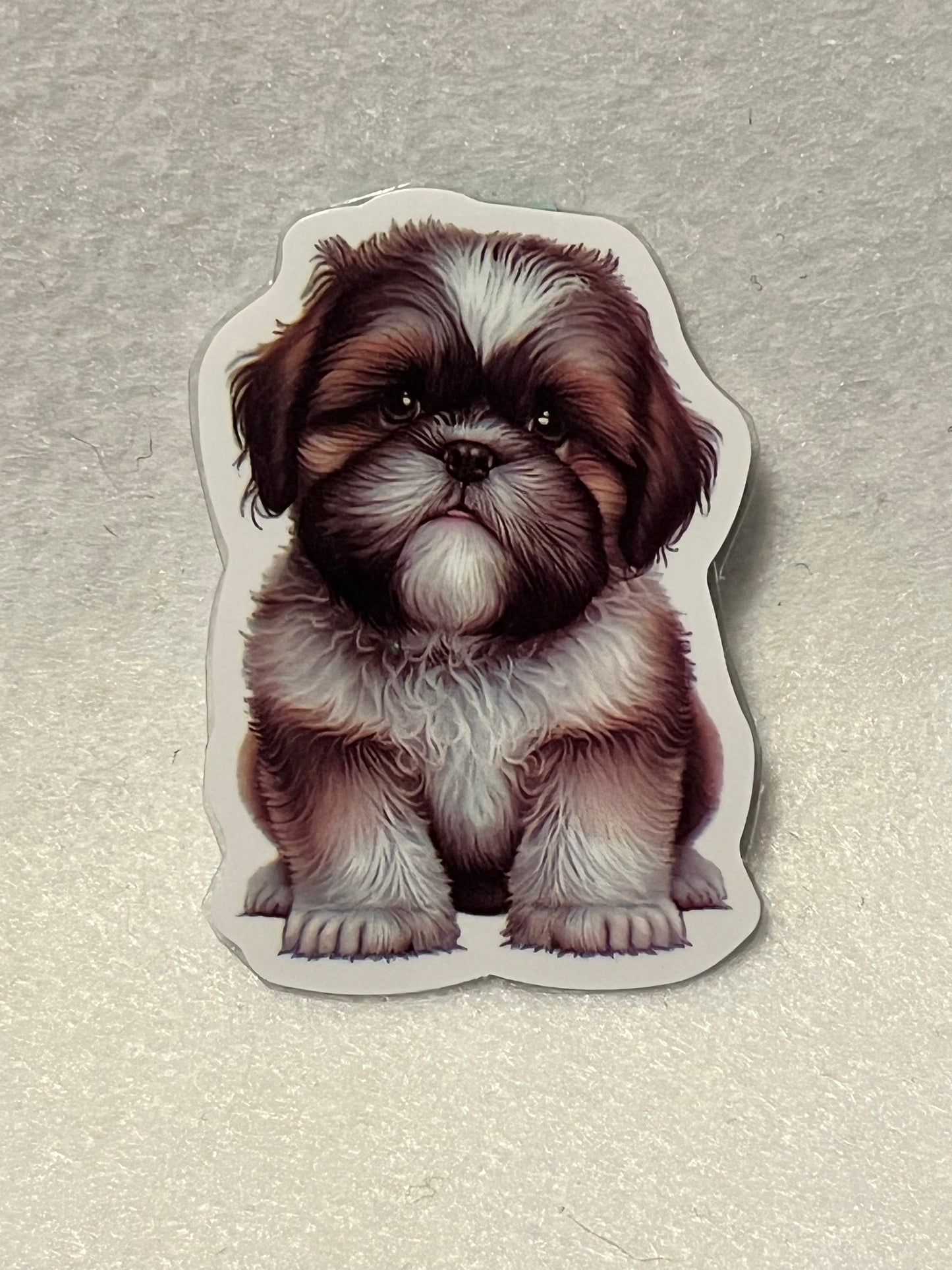 Shih Tzu