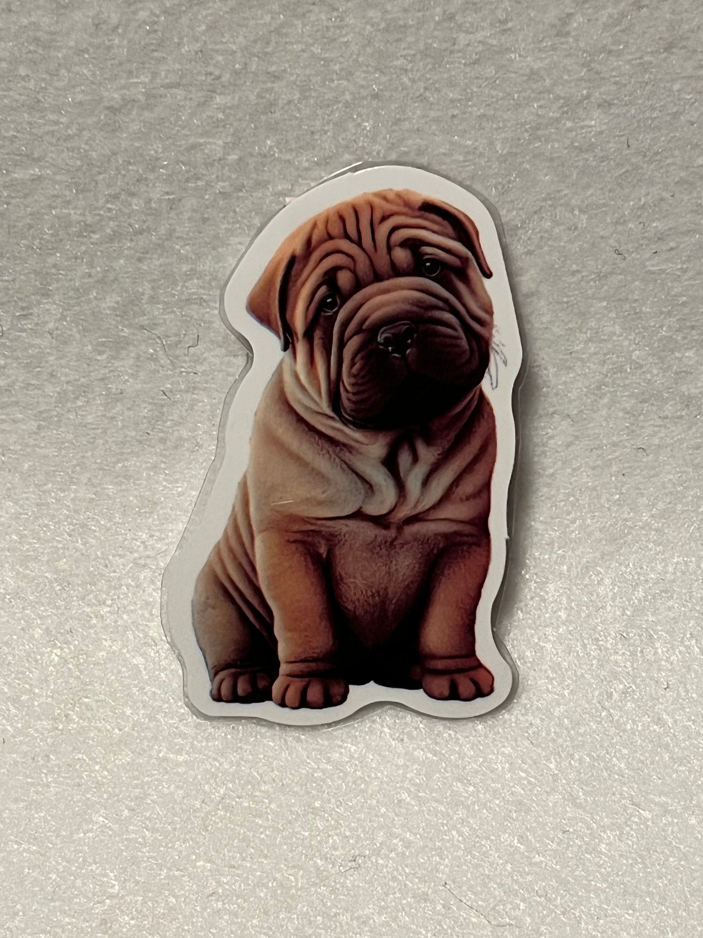 Shar Pei