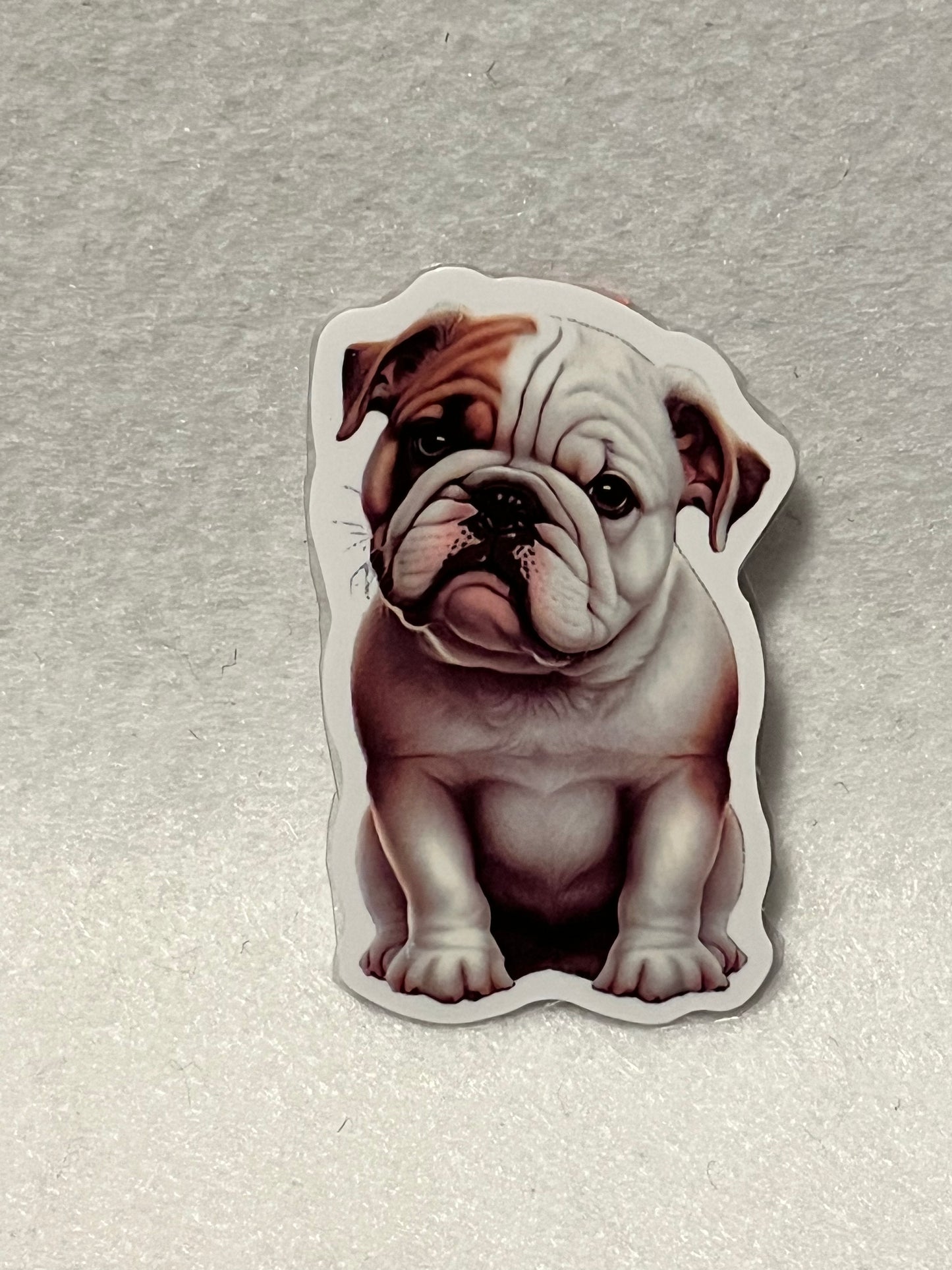 Bulldog