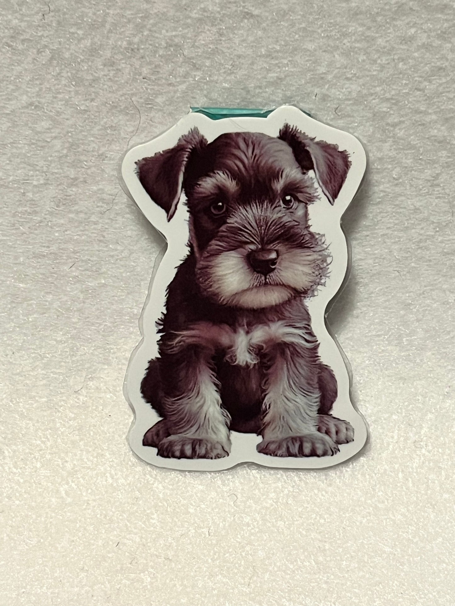 Schnauzer