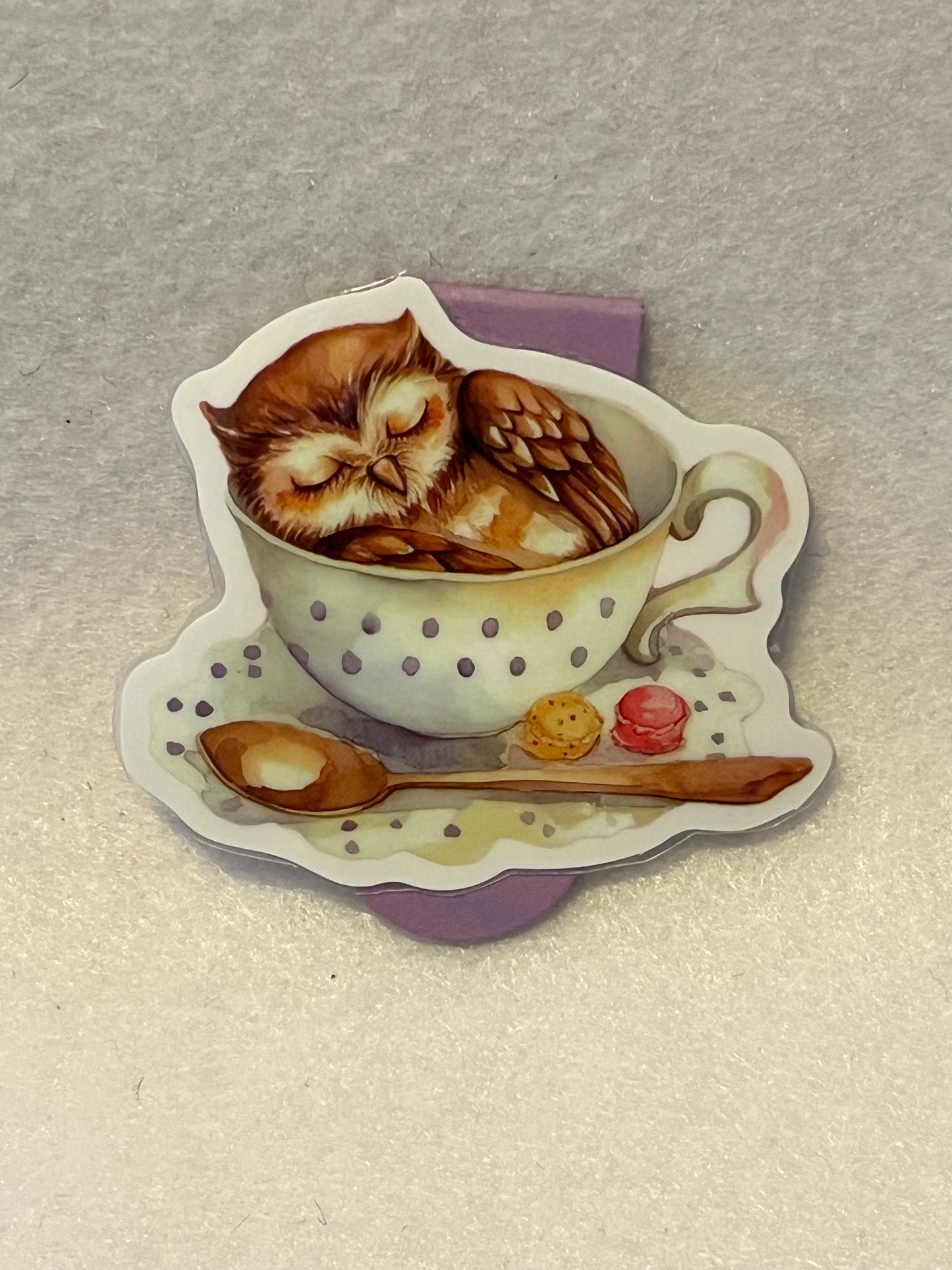 Teacup owl