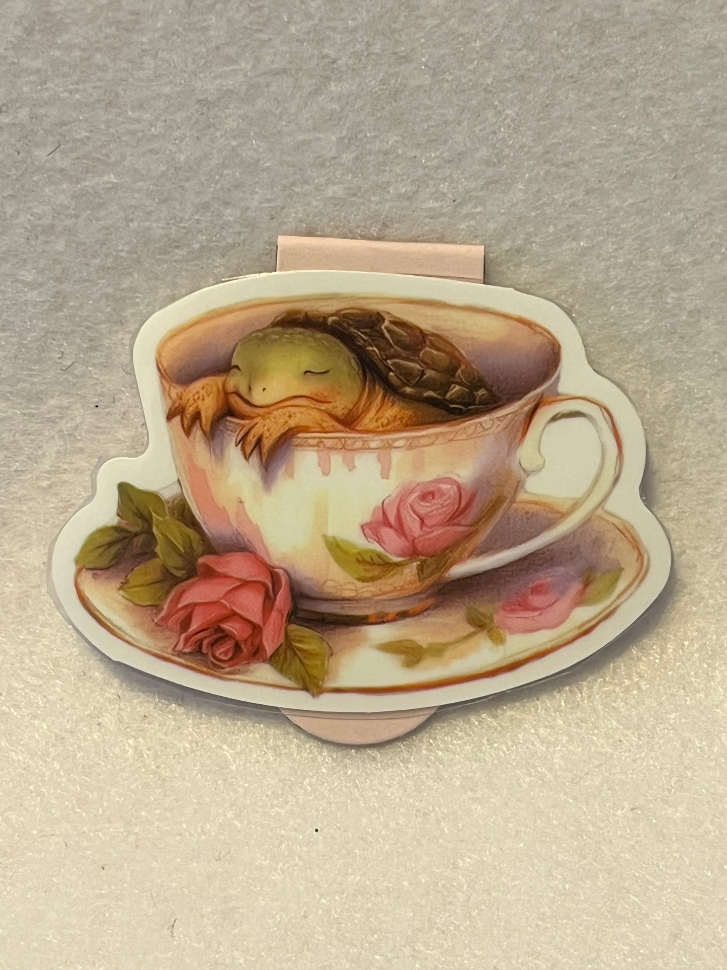 Teacup turtle