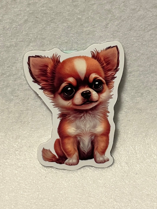 Chihuahua