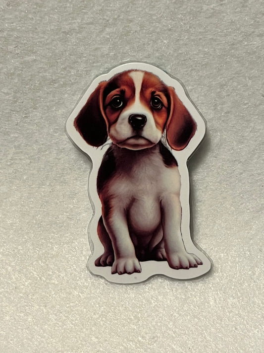 Beagle