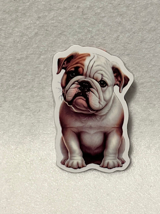 Bulldog